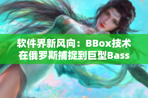 软件界新风向：BBox技术在俄罗斯捕捉到巨型BassFish！