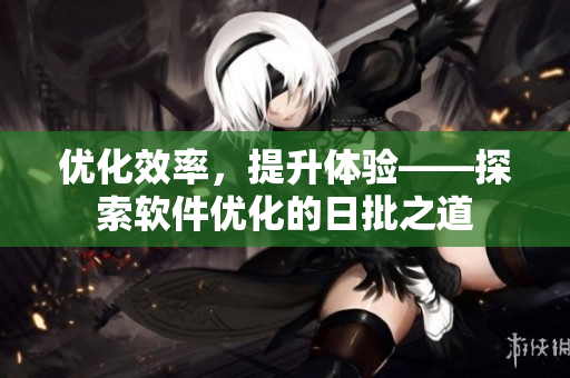 优化效率，提升体验——探索软件优化的日批之道