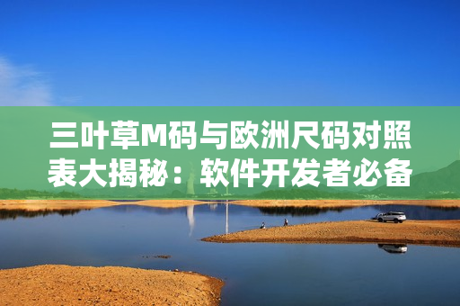 三叶草M码与欧洲尺码对照表大揭秘：软件开发者必备！