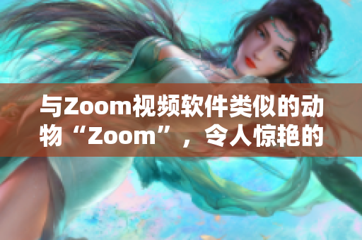 与Zoom视频软件类似的动物“Zoom”，令人惊艳的软件功能解析