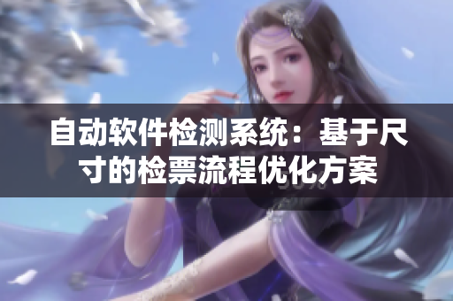 自动软件检测系统：基于尺寸的检票流程优化方案
