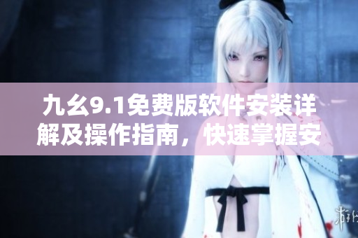 九幺9.1免费版软件安装详解及操作指南，快速掌握安装步骤