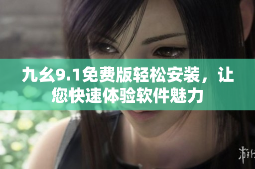 九幺9.1免费版轻松安装，让您快速体验软件魅力