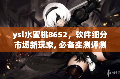 ysl水蜜桃8652，软件细分市场新玩家, 必备实测评测及开箱体验
