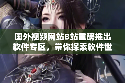 国外视频网站B站重磅推出软件专区，带你探索软件世界