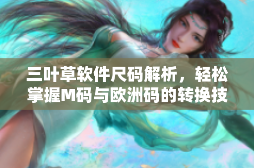三叶草软件尺码解析，轻松掌握M码与欧洲码的转换技巧