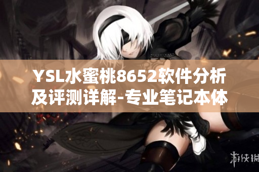 YSL水蜜桃8652软件分析及评测详解-专业笔记本体验分享