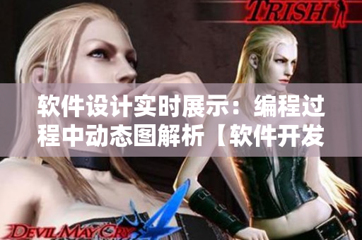 软件设计实时展示：编程过程中动态图解析【软件开发技巧】