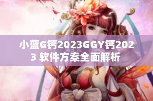 小蓝G钙2023GGY钙2023 软件方案全面解析 