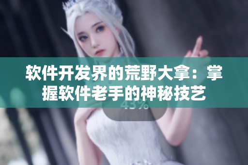 软件开发界的荒野大拿：掌握软件老手的神秘技艺