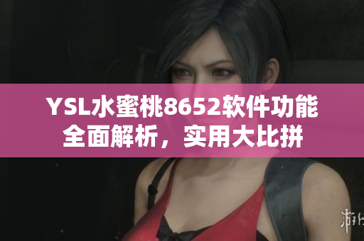 YSL水蜜桃8652软件功能全面解析，实用大比拼