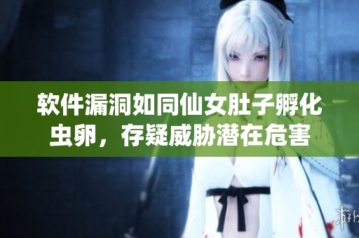 软件漏洞如同仙女肚子孵化虫卵，存疑威胁潜在危害
