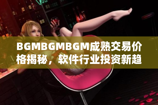 BGMBGMBGM成熟交易价格揭秘，软件行业投资新趋势揭示