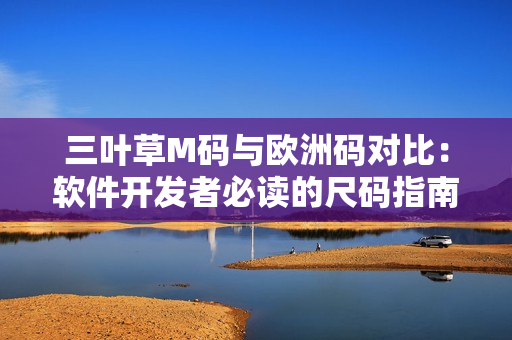 三叶草M码与欧洲码对比：软件开发者必读的尺码指南