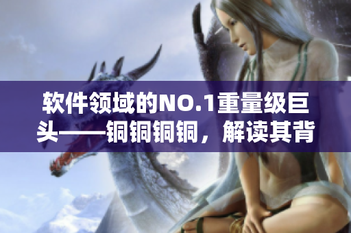 软件领域的NO.1重量级巨头——铜铜铜铜，解读其背后的成功密码