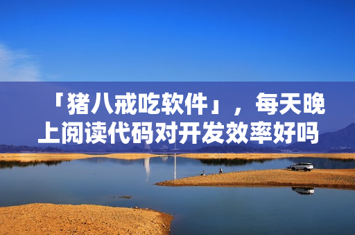「猪八戒吃软件」，每天晚上阅读代码对开发效率好吗？