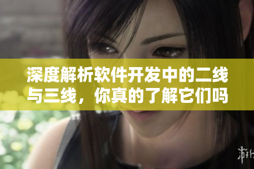 深度解析软件开发中的二线与三线，你真的了解它们吗？