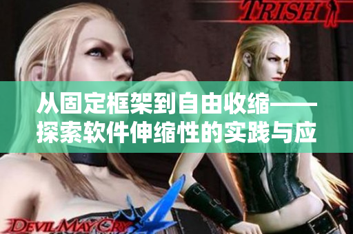 从固定框架到自由收缩——探索软件伸缩性的实践与应用视频