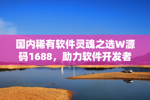国内稀有软件灵魂之选W源码1688，助力软件开发者实现创意编码
