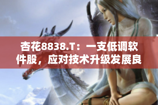 杏花8838.T：一支低调软件股，应对技术升级发展良好