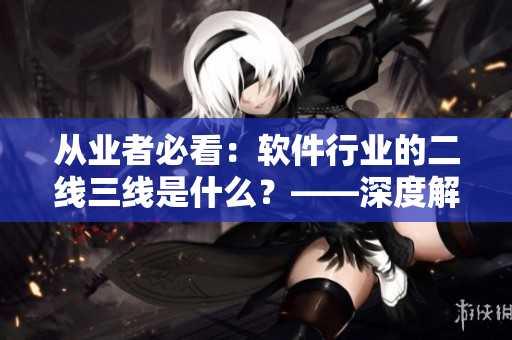 从业者必看：软件行业的二线三线是什么？——深度解析