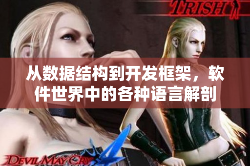 从数据结构到开发框架，软件世界中的各种语言解剖