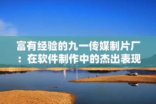 富有经验的九一传媒制片厂：在软件制作中的杰出表现