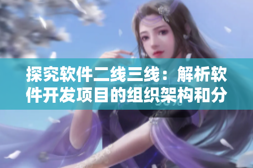 探究软件二线三线：解析软件开发项目的组织架构和分工