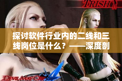 探讨软件行业内的二线和三线岗位是什么？——深度剖析与比较