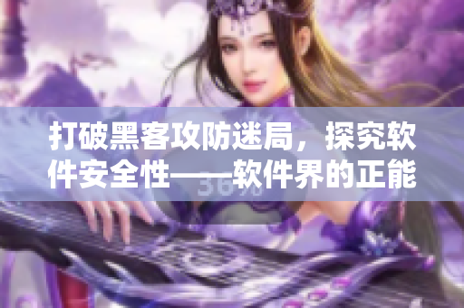 打破黑客攻防迷局，探究软件安全性——软件界的正能量