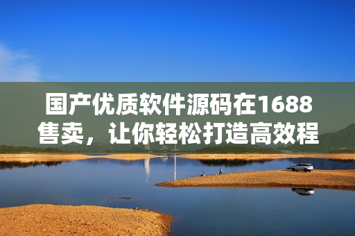国产优质软件源码在1688售卖，让你轻松打造高效程序！
