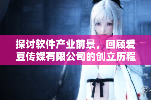 探讨软件产业前景，回顾爱豆传媒有限公司的创立历程