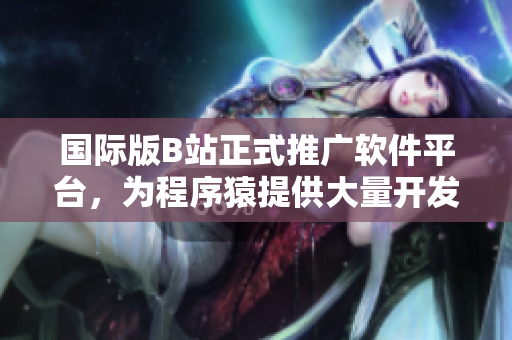国际版B站正式推广软件平台，为程序猿提供大量开发资源与经验分享