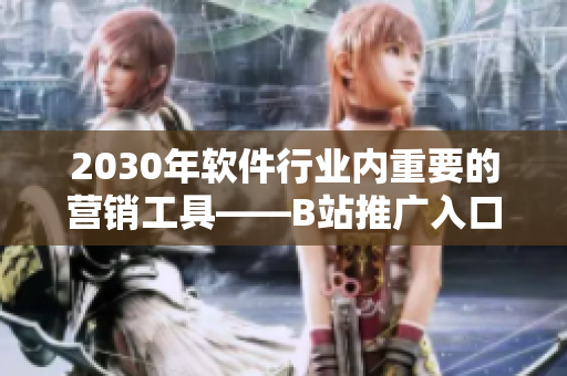 2030年软件行业内重要的营销工具——B站推广入口深度解析