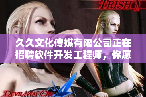 久久文化传媒有限公司正在招聘软件开发工程师，你愿意加入我们吗？