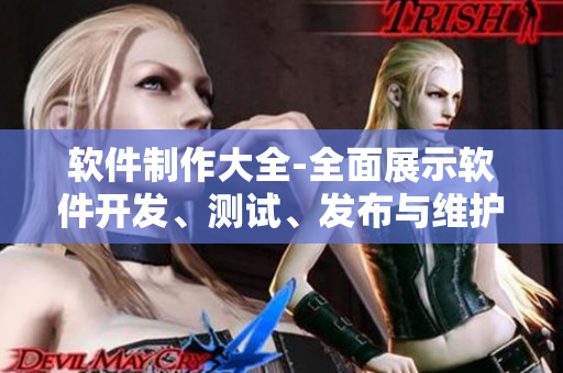 软件制作大全-全面展示软件开发、测试、发布与维护的全流程