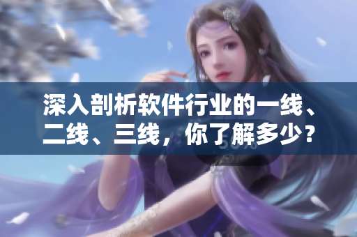 深入剖析软件行业的一线、二线、三线，你了解多少？
