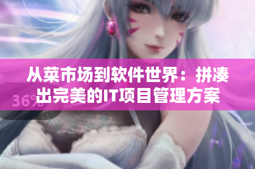 从菜市场到软件世界：拼凑出完美的IT项目管理方案