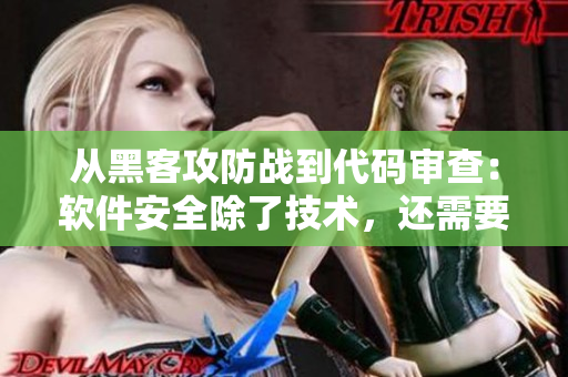 从黑客攻防战到代码审查：软件安全除了技术，还需要什么？
