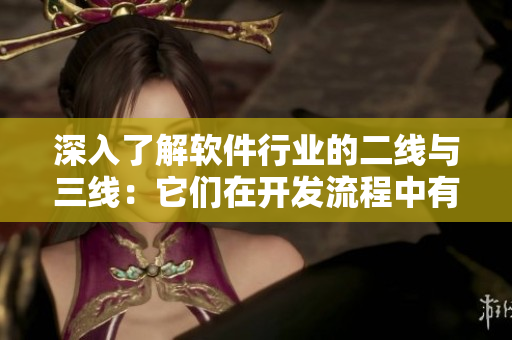 深入了解软件行业的二线与三线：它们在开发流程中有何不同？