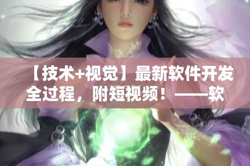 【技术+视觉】最新软件开发全过程，附短视频！——软件开发教程网站推广