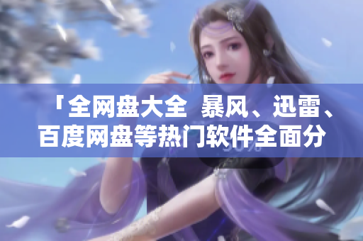 「全网盘大全  暴风、迅雷、百度网盘等热门软件全面分析」