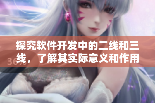 探究软件开发中的二线和三线，了解其实际意义和作用