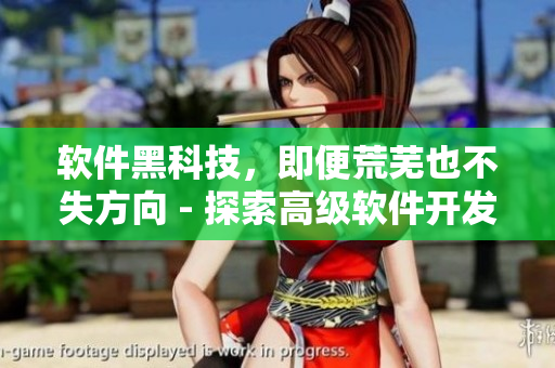 软件黑科技，即便荒芜也不失方向 - 探索高级软件开发技巧，应对业界挑战