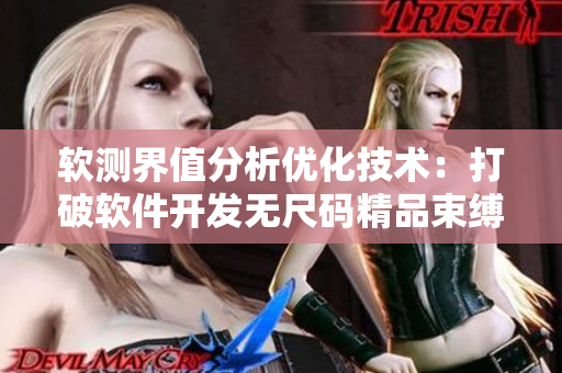 软测界值分析优化技术：打破软件开发无尺码精品束缚