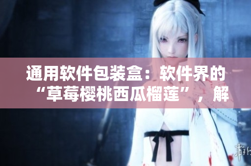 通用软件包装盒：软件界的“草莓樱桃西瓜榴莲”，解决软件产品包装难题！