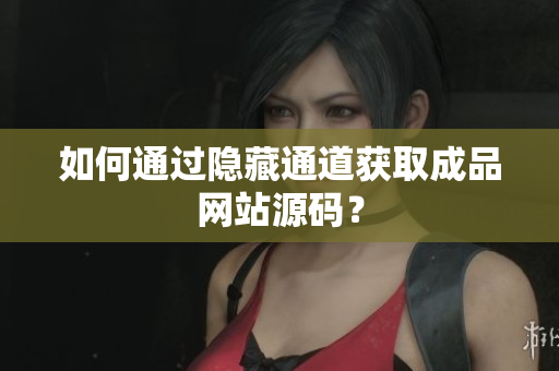 如何通过隐藏通道获取成品网站源码？