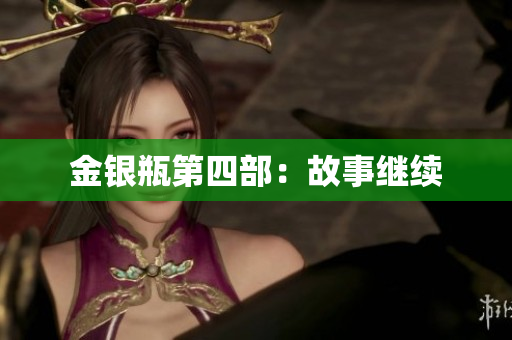 金银瓶第四部：故事继续