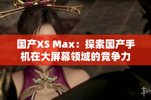 国产XS Max：探索国产手机在大屏幕领域的竞争力