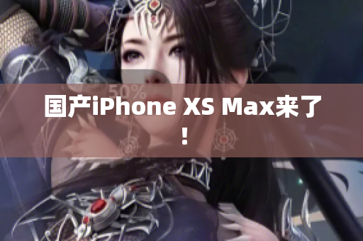 国产iPhone XS Max来了！